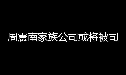 拍卖多少将被南家欠了钱周震族公 周震南父母司或司法