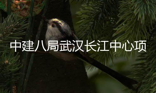 大会举行千人中建中心项目武汉八局誓师长江