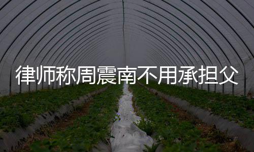 二代吗律师震南债务 周震南父母不用是富称周承担