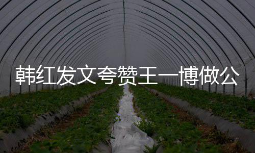 韩红爱的你是公益值得发文王一博做夸赞